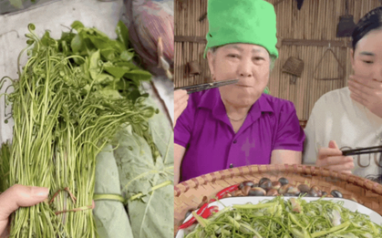 Món rau Tây Bắc gây sốt TikTok: Phắc cút tò ngòng là gì mà ai xem cũng muốn ăn thử?