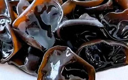 Đừng động đến 4 loại "thực phẩm chết người" này! Dù đã nấu chín kỹ, chúng vẫn có thể "giết" bạn