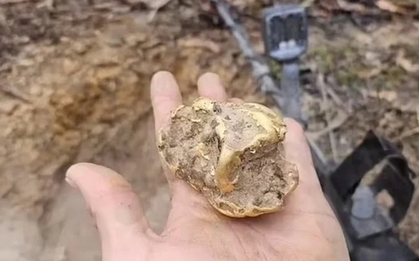 Đi đào gốc cây, người đàn ông bỗng nhặt được kho báu hơn 2 tỷ đồng