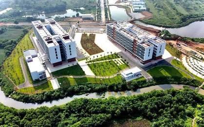 Bắt đầu sáp nhập các trường công lập