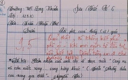 Nam sinh gây sốt với bài văn dài 18 trang, cô giáo đọc xong không biết phải phê gì vì quá xuất sắc!