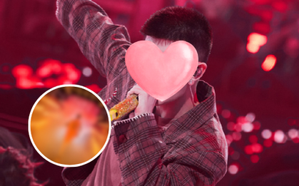 Bức ảnh vạch trần bộ mặt giả dối của “chồng quốc dân”