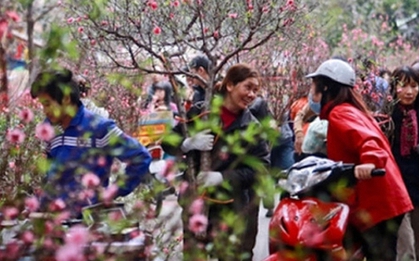 Trình Chính phủ phương án nghỉ 9 ngày dịp Tết Nguyên đán 2026