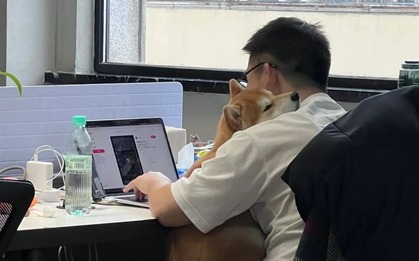 Thấy trống rỗng khi đi làm chỉ vì 50 triệu mỗi tháng