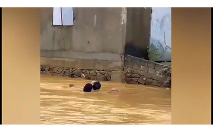 Clip: Nín thở trước hình ảnh người đàn ông lao ra cứu em học sinh lớp 7 giữa dòng nước xiết