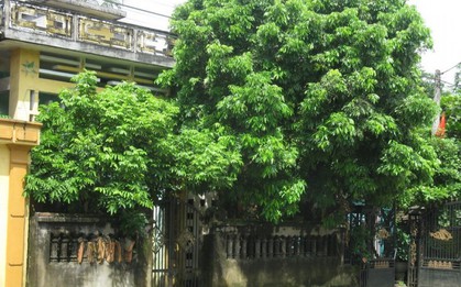 3 chi tiết trong nhà tưởng vô hại nhưng khiến tài vận cứ trôi đi