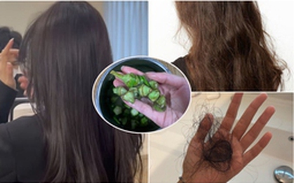Tôi đã phục hồi mái tóc khô xơ gãy rụng của mình bằng cách dễ không tưởng, làm 1 lần đã có kết quả ngay