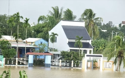 Người dân Đà Nẵng chuẩn bị lương thực ít nhất 3 ngày ứng phó bão
