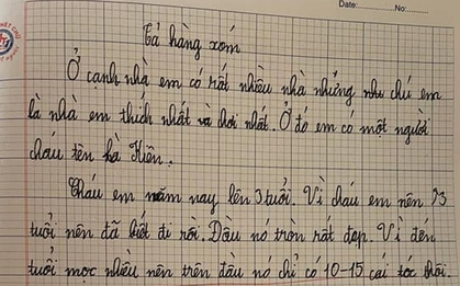 Bài văn tả hàng xóm của học sinh tiểu học khiến dân mạng cười đứt ruột: "Phen này láng giềng lục đục"