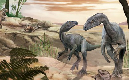 "Ông tổ" của những quái thú "vĩ đại nhất" lộ diện