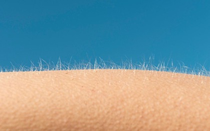 Tại sao chúng ta nổi da gà khi sợ hãi hoặc xúc động?