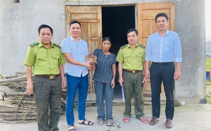 Con rùa có hình thù kỳ lạ bất ngờ bò vào vườn nhà dân Quảng Trị, chính quyền lập tức vào cuộc