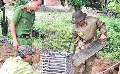 Bắt được con vật "mặt đỏ như gấc", người dân trình báo chính quyền