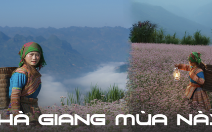 Trời trở lạnh và Hà Giang đã vào mùa đẹp nhất, đi ngay thôi còn do dự là lỡ mất!