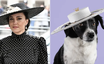 “Chó cũng được đội mũ Hoàng gia”: Nhà thiết kế của Vương phi Kate biến thú cưng thành siêu mẫu haute couture