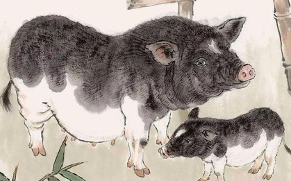 4 con giáp đầu năm vất vả, cuối năm đổi vận, tiền đầy túi, tài lộc không đếm xuể từ tháng 9 Âm lịch