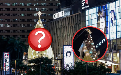 Cây thông “tinh quái” nhất thế giới