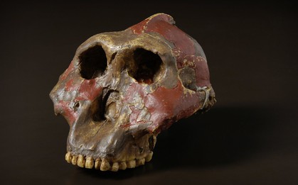 Thứ gây sốc ở 3 di chỉ cổ đại vừa làm thay đổi lịch sử loài người