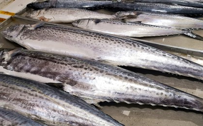 Không phải lươn hay chạch, 3 loại cá nên ăn nhiều vào mùa lạnh: Thịt nhiều ít xương, dễ tiêu và ngon quên lối về