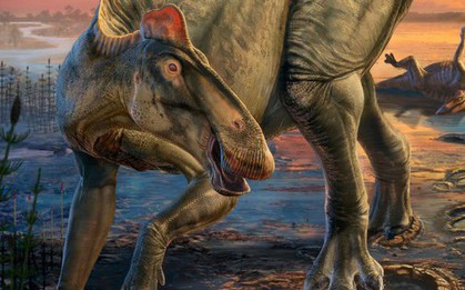 "Xác ướp" quái vật dài 12 m gây sốc ở Mỹ