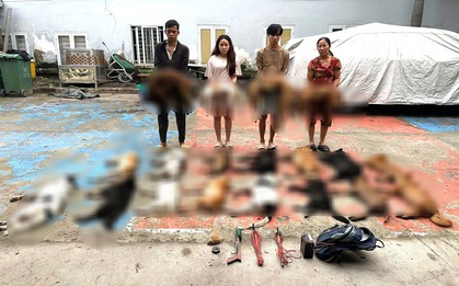 Bắt nhóm trộm chó thủ sẵn bột ớt để chống trả khi bị truy đuổi