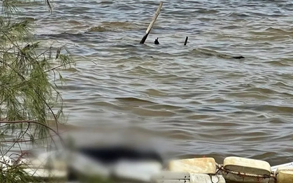 Tìm thấy thi thể bé trai 13 tuổi mất tích khi lặn biển ở Phú Quốc