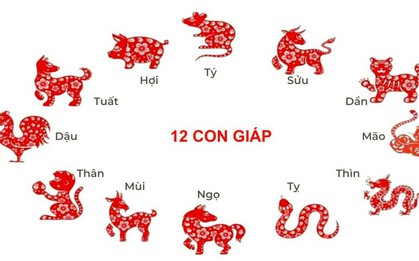 Tử vi 12 con giáp tháng 9 âm: 3 con giáp có vận đỏ rực rỡ, tình tiền đều nở hoa, cuộc sống viên mãn