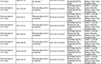 294 chủ xe đi ngược chiều, đi trên vỉa hè có biển số sau nhanh chóng nộp phạt nguội theo Nghị định 168