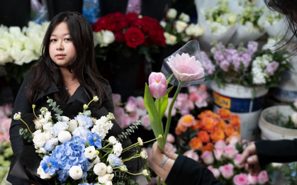 Nghe nói chơi hoa ở Hà Nội mà chưa biết phố Trương Hán Siêu thì chưa phải là sành: Đây là trải nghiệm thực tế