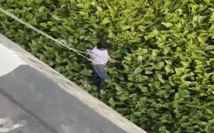 Vướng vào bèo tây khi nhảy sông tự tử, người đàn ông được giải cứu