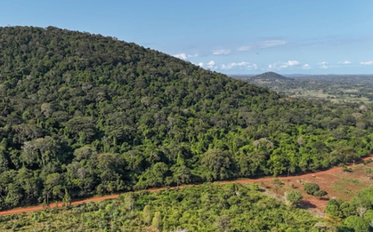 Phát hiện kho báu đất hiếm trị giá 62,4 tỷ USD nằm la liệt dưới cánh rừng 157 hecta, Mỹ và Trung Quốc đồng loạt lên dây cót, chạy đua giành phần thắng