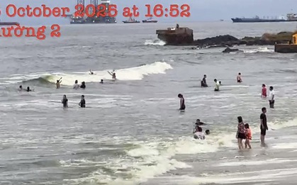 Thông tin lan truyền nước biển Vũng Tàu có màu xanh lá cây: Cơ quan chức năng lên tiếng