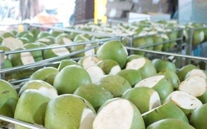 Sau sầu riêng, thêm một 'sản vật' của Việt Nam trở thành đối thủ lớn của Thái Lan: sản lượng hơn 2 triệu tấn/năm, nước ta là ông lớn thứ 7 thế giới