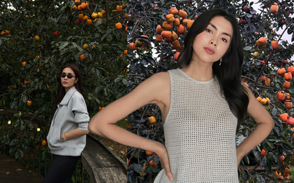 Ở Đà Lạt có một quán cà phê khiến Tăng Thanh Hà “phải lòng”: Hồng sai rợp trời, đẹp như một giấc mộng