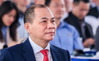 Tỷ phú Phạm Nhật Vượng đầu tư vào Congo, quốc gia sở hữu "kho báu" quý giá nhất của ngành xe điện