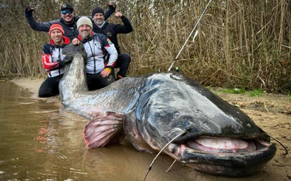 Cần thủ câu được con cá trê khổng lồ dài gần 3 mét trong hồ