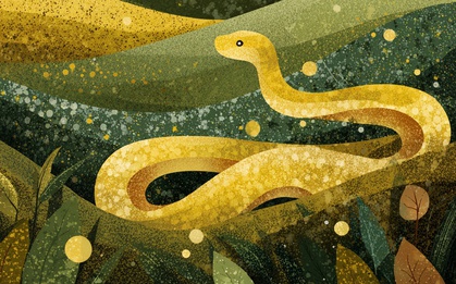 Tuổi Tỵ làm gì để quý nhân “tự tìm đến gõ cửa”: Đọc xong áp dụng ngay, vận may bùng nổ