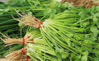 Nhiều người sai lầm khi bảo quản rau mùi trong tủ lạnh: Đầu bếp nhà hàng hướng dẫn 1 mẹo giữ rau mùi tươi lâu