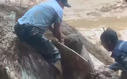 Clip: Công nhân lái máy múc được cứu thoát hy hữu khỏi lũ bùn ở Đà Nẵng