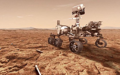 Một sinh vật Trái Đất có thể sống trên Sao Hỏa hiện tại