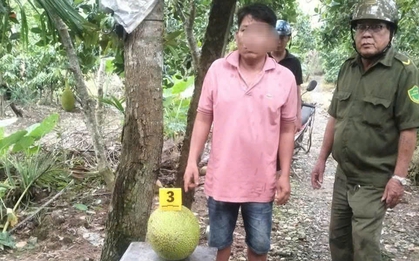 Vì sao người đàn ông bị khởi tố do trộm 2 trái mít ở Đồng Tháp?