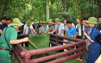TP Hồ Chí Minh kiến nghị hỗ trợ đẩy nhanh tiến độ công nhận Địa đạo Củ Chi là Di sản thế giới