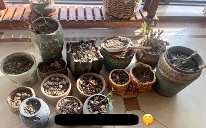 Tôi ước tất cả mọi người dứt khoát buông bỏ 7 thứ "chật nhà" này