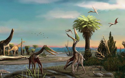 Quái vật chưa từng biết xuất hiện ở Brazil, sải cánh tới 5 mét