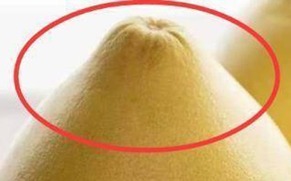 Mùa này có loại quả tốt hơn thịt: Chợ Việt bán sẵn, không mua phí của trời