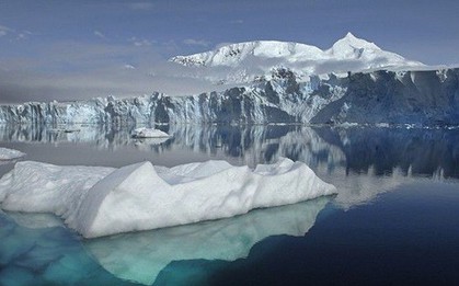 Phát hiện dạng sống “bất khả thi” ở Bắc Cực