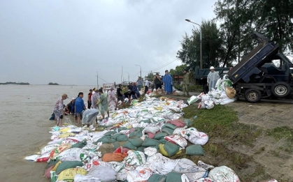 Nghìn người đội mưa 'vá' bờ kè bị sóng đánh tan tác ở Đà Nẵng