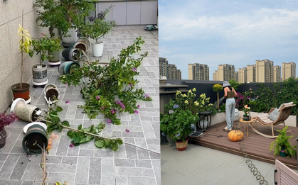 Penthouse - giấc mơ sang chảnh biến thành “địa ngục trên cao”: Tôi đã sống và hối hận!