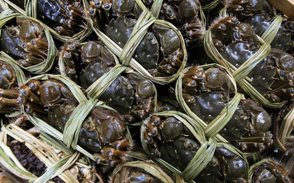 Cua ghẹ Việt đổi dòng chảy: Mỹ tiêu thụ chậm, một thị trường quan trọng khác lại bứt tốc