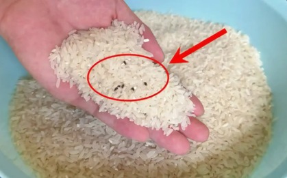 Người xưa dặn không sai: Gạo cất ở 5 nơi, cả gia đình mắc bệnh